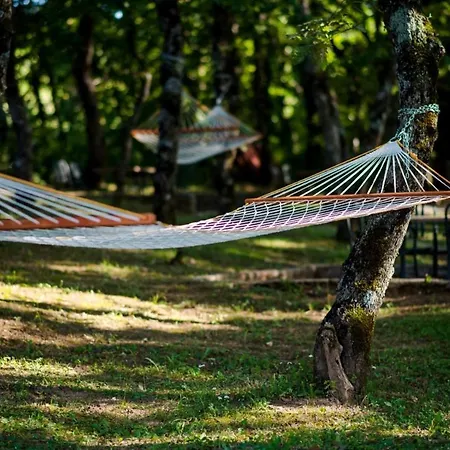 Гостевой дом Monako 2000 3*